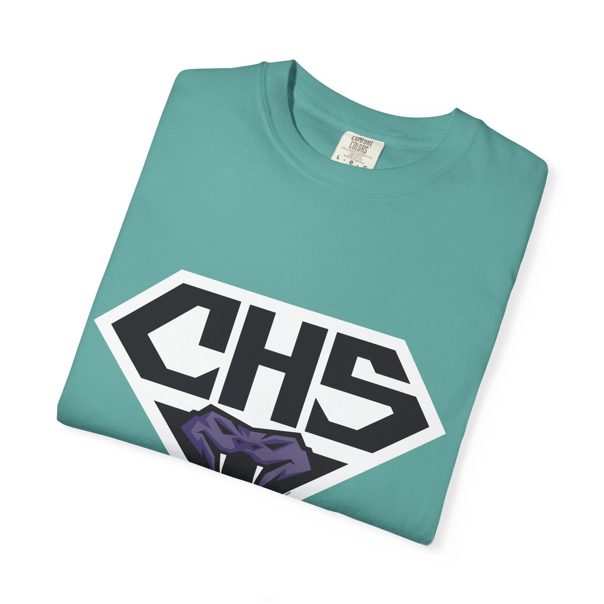Copy of Century High School Diamondbacks T-Shirt | school tee