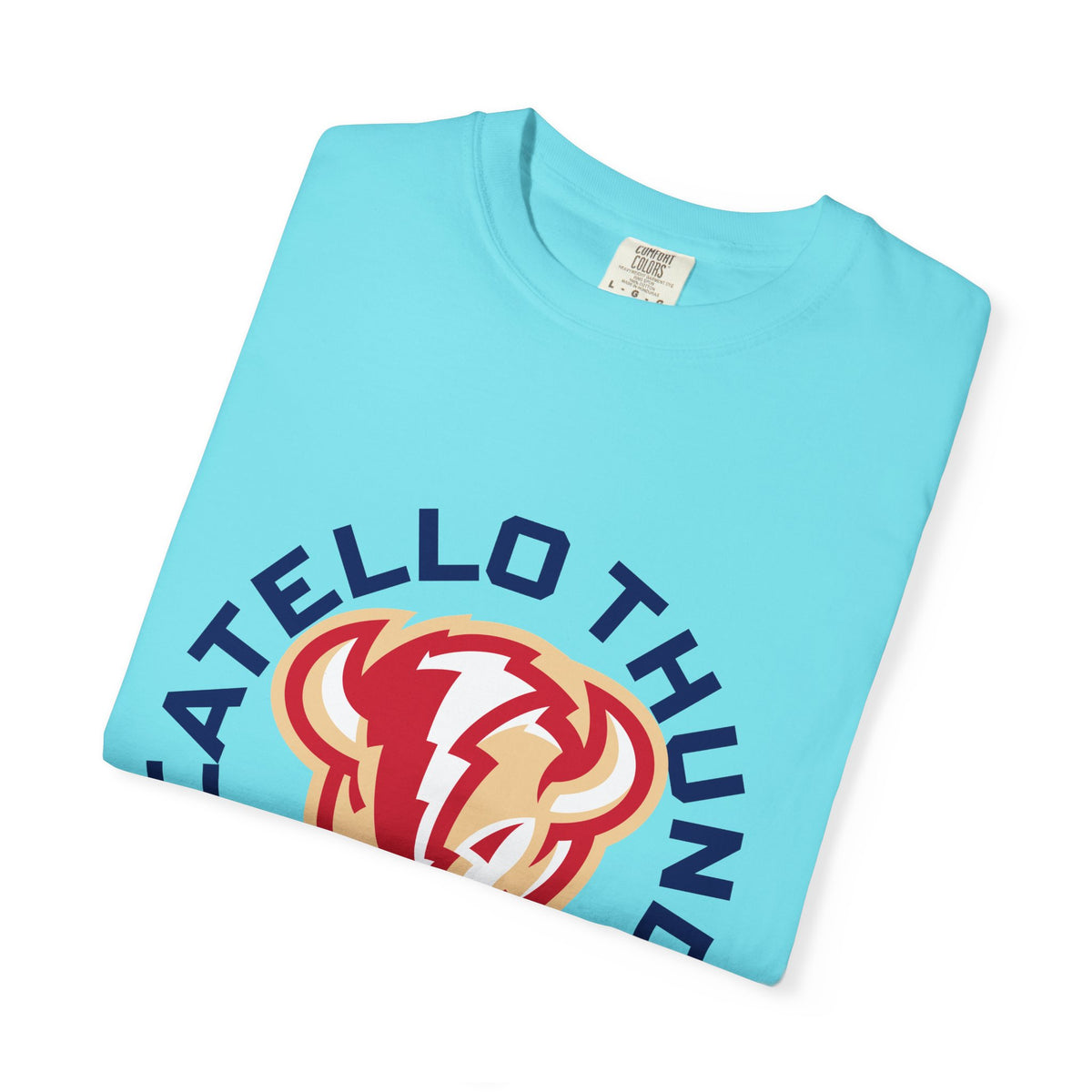 Pocatello High School Thunder T-Shirt | circle tee