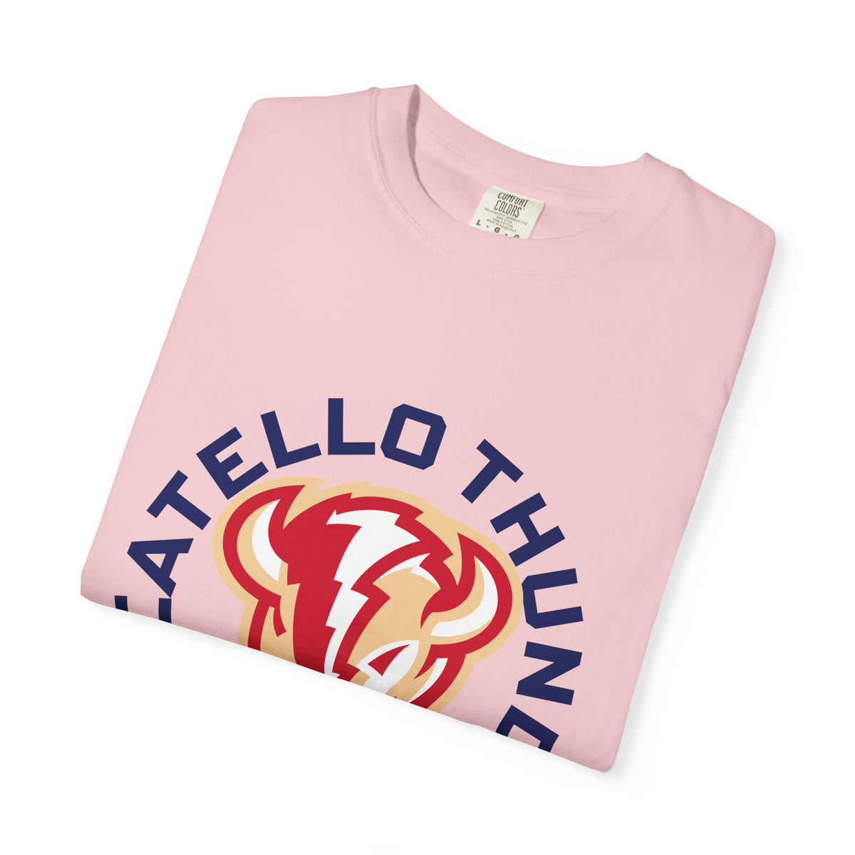 Pocatello High School Thunder T-Shirt | circle tee