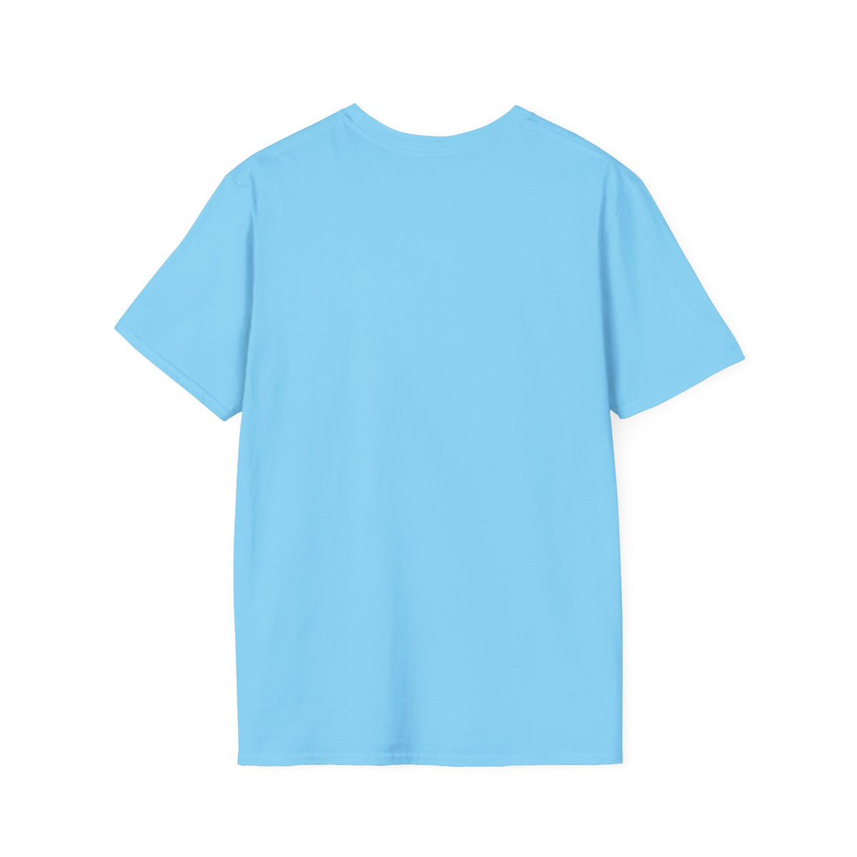 Thunder Ridge High School Titans T-Shirt | big graphic