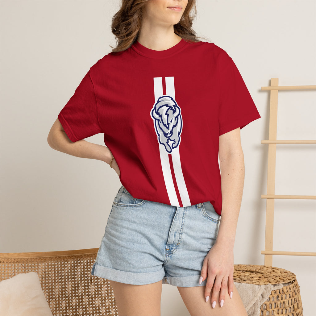 Pocatello High School Thunder T-Shirt | stripe tee