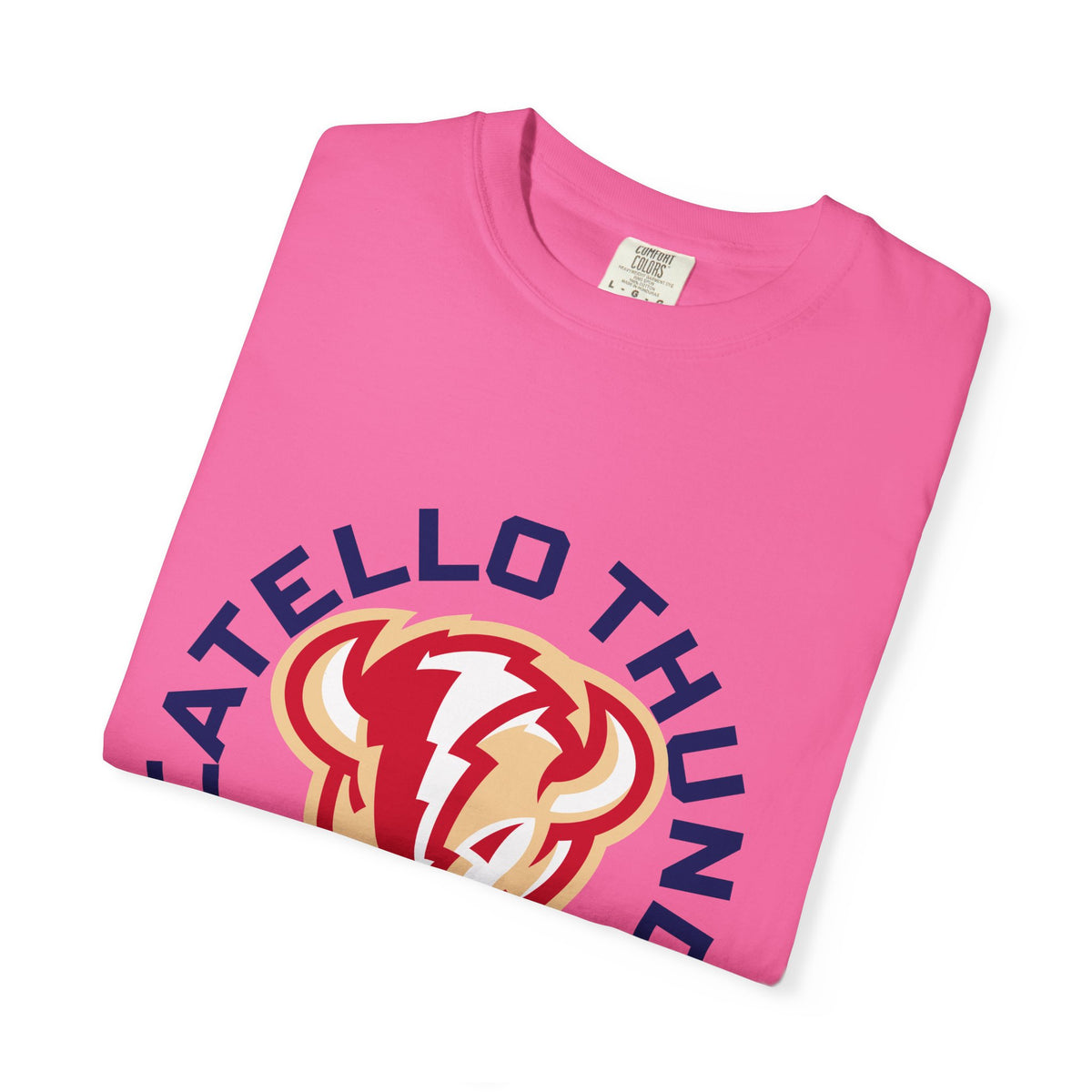 Pocatello High School Thunder T-Shirt | circle tee