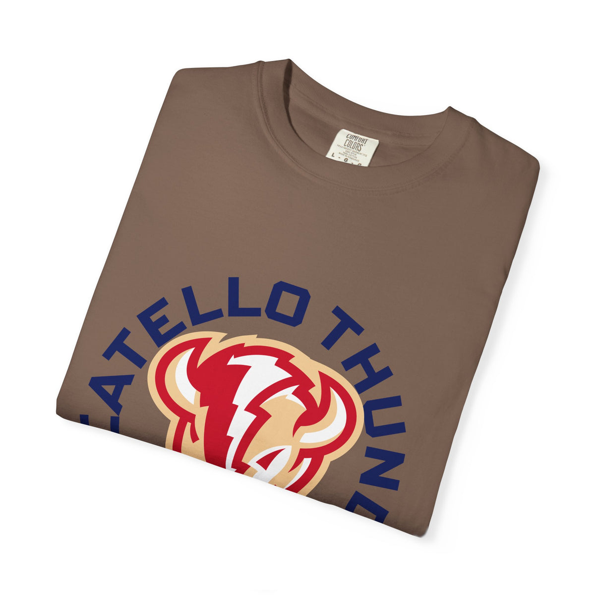 Pocatello High School Thunder T-Shirt | circle tee