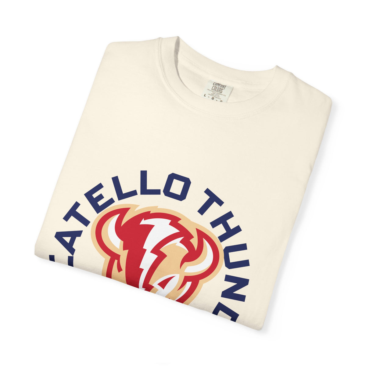 Pocatello High School Thunder T-Shirt | circle tee