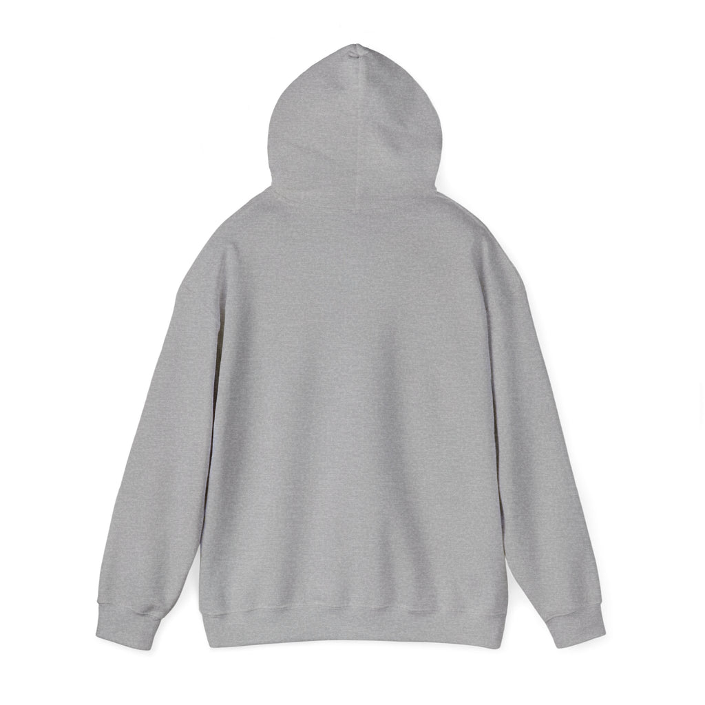 Hillcrest High School Knights Hoodie | red graphic