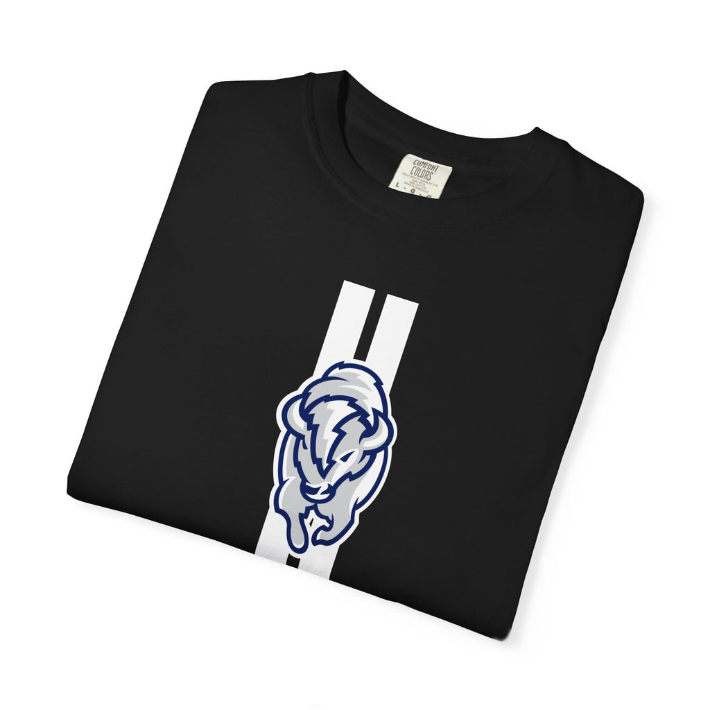 Pocatello High School Thunder T-Shirt | stripe tee