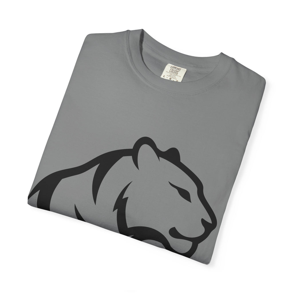 Idaho Falls High School Tigers T-Shirt | big face tee