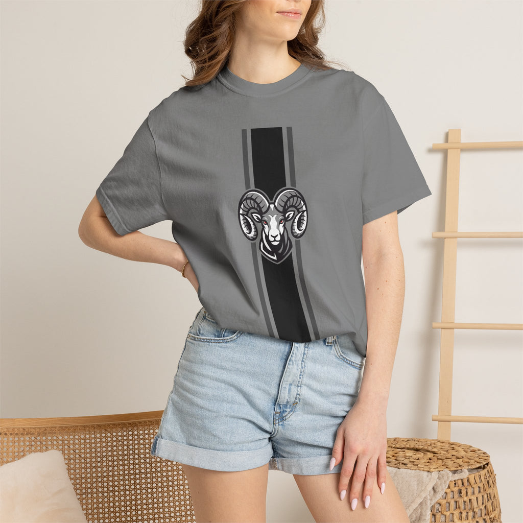 Highland High School Rams T-Shirt | stripe tee