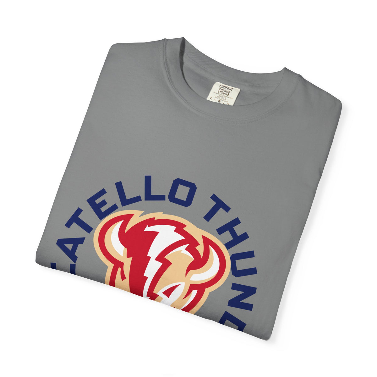 Pocatello High School Thunder T-Shirt | circle tee