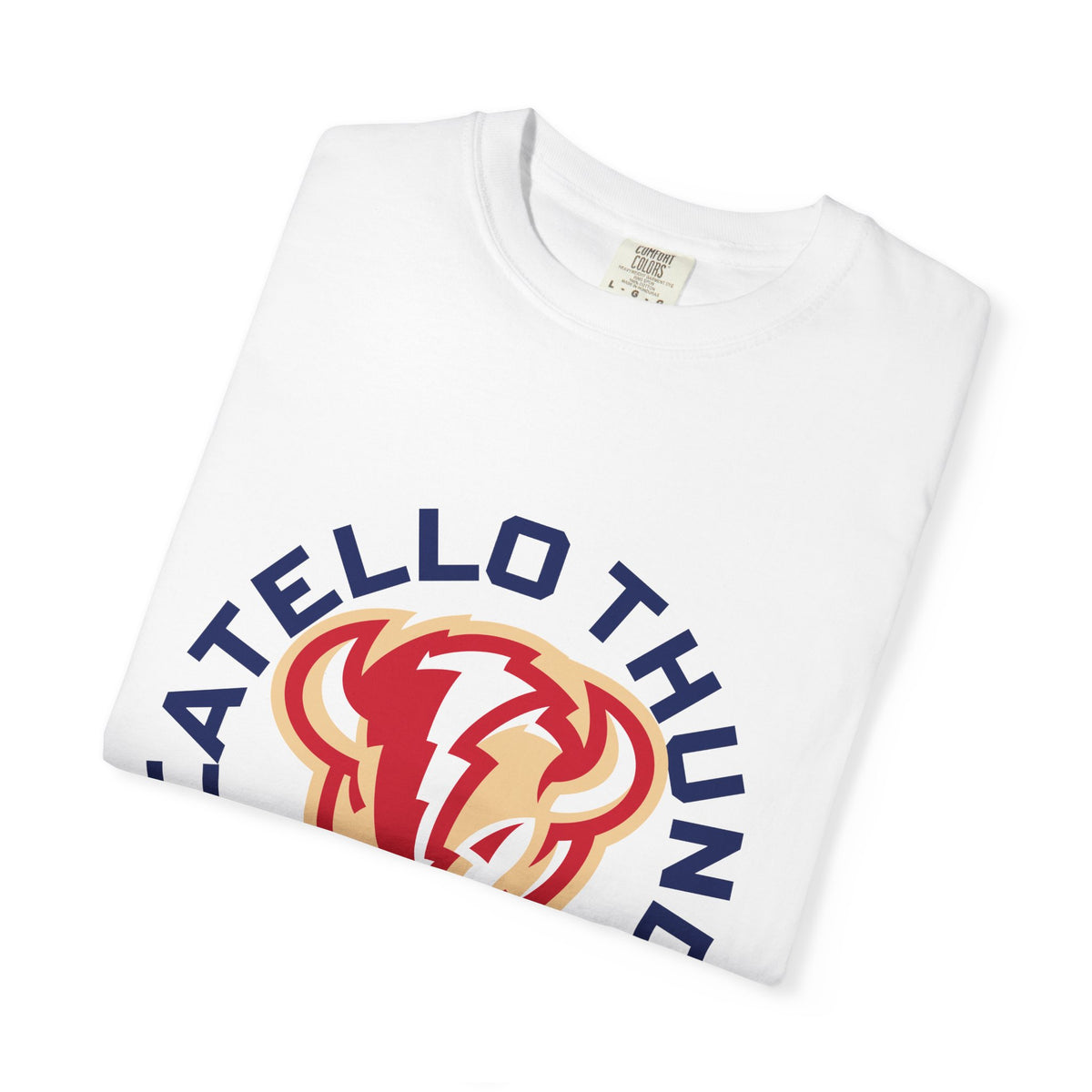 Pocatello High School Thunder T-Shirt | circle tee