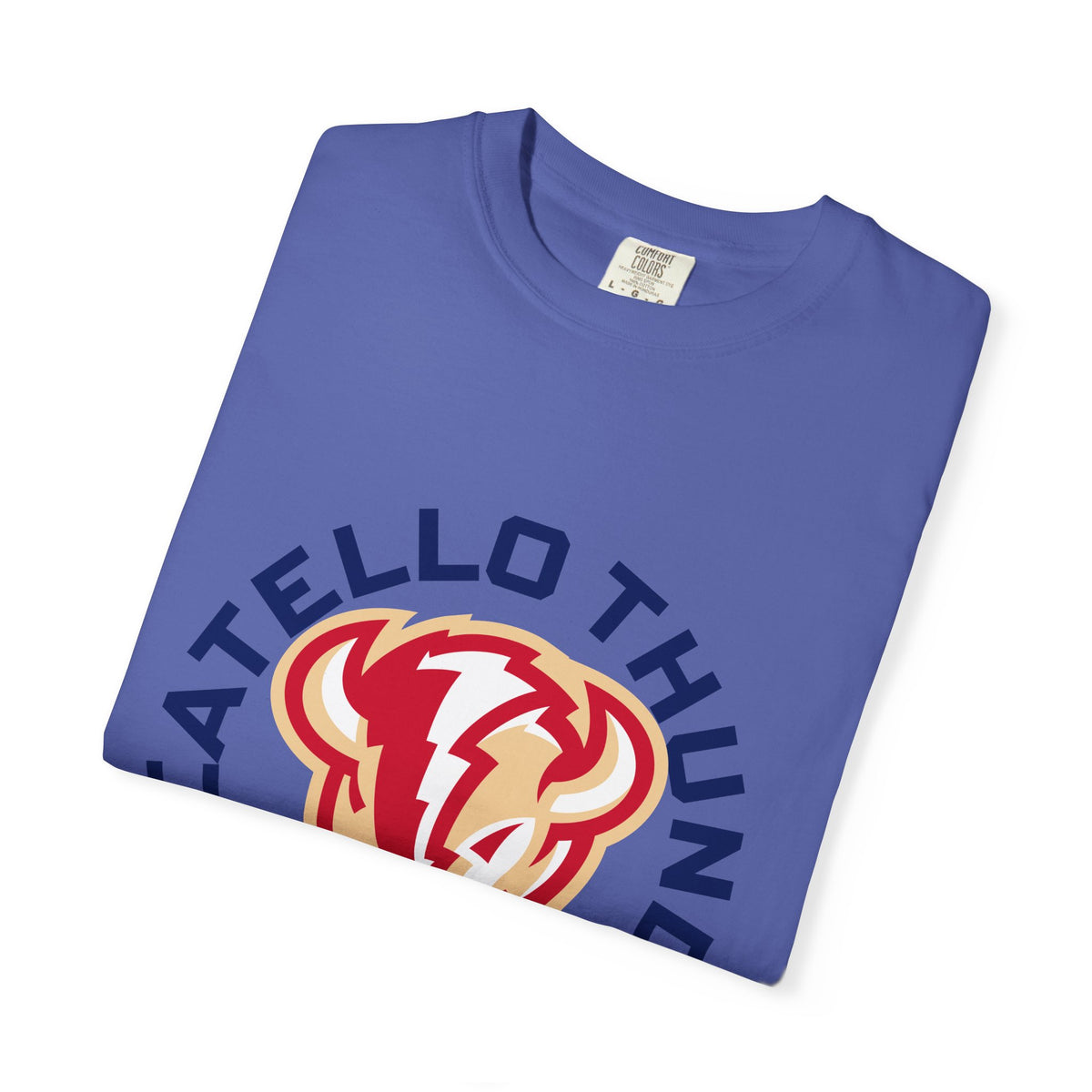 Pocatello High School Thunder T-Shirt | circle tee