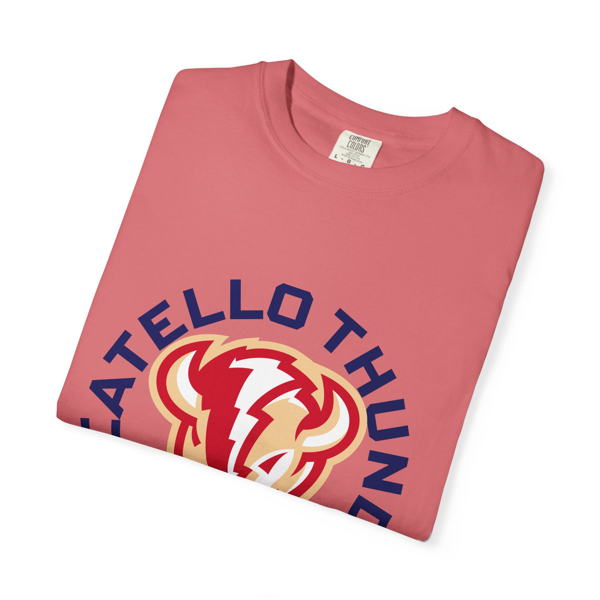 Pocatello High School Thunder T-Shirt | circle tee