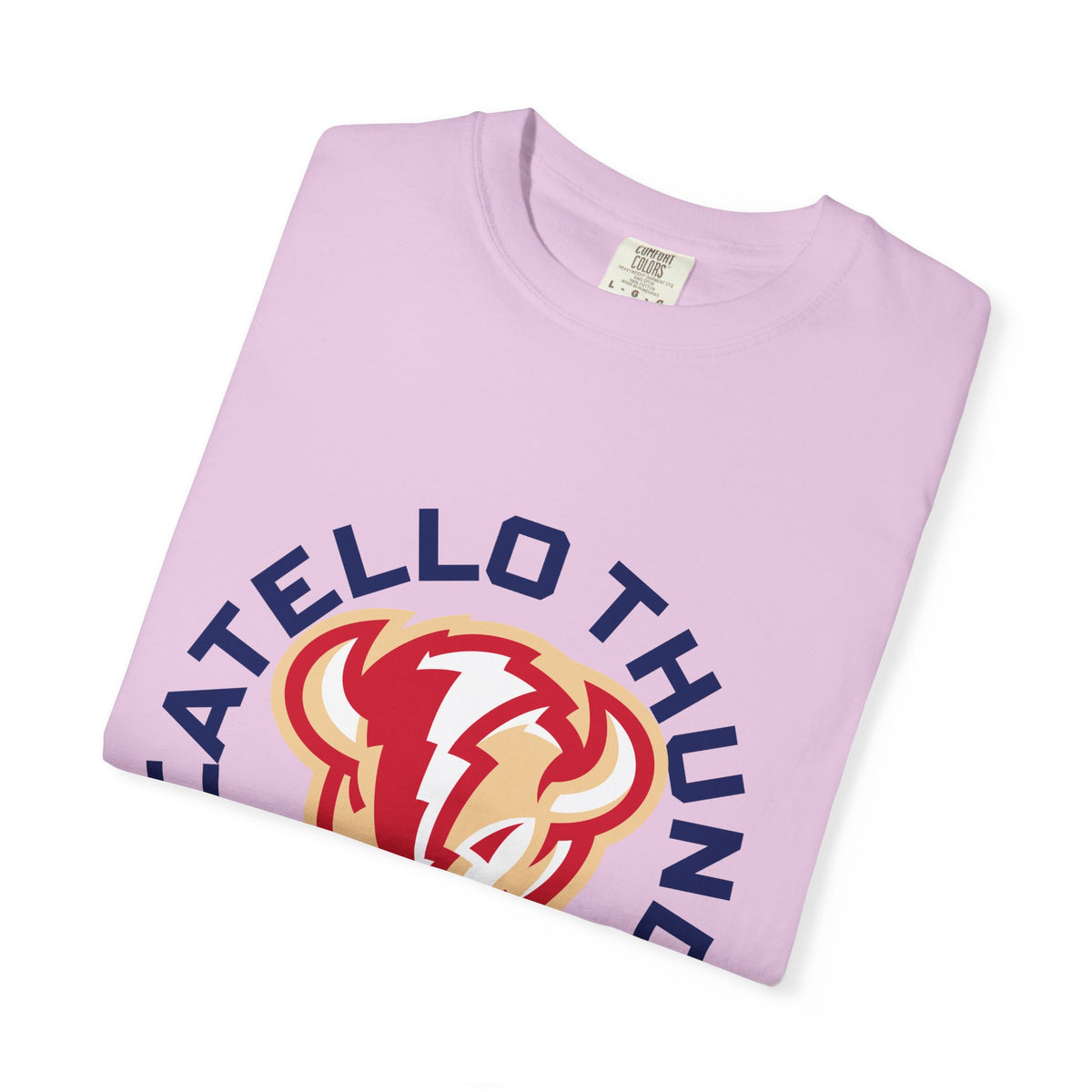 Pocatello High School Thunder T-Shirt | circle tee
