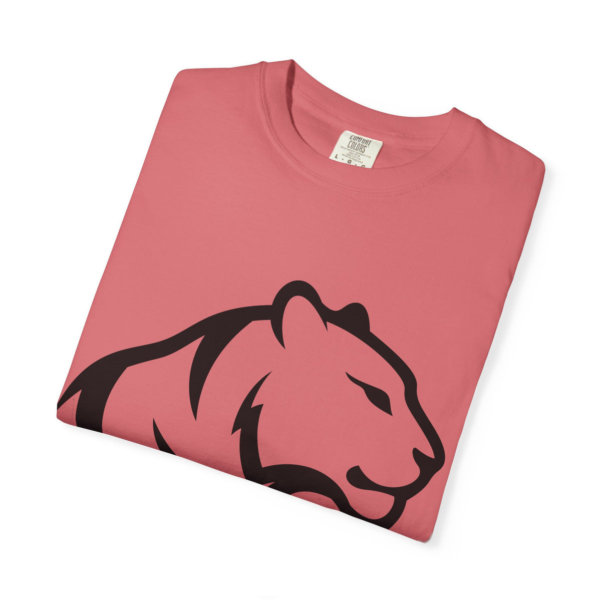 Idaho Falls High School Tigers T-Shirt | big face tee