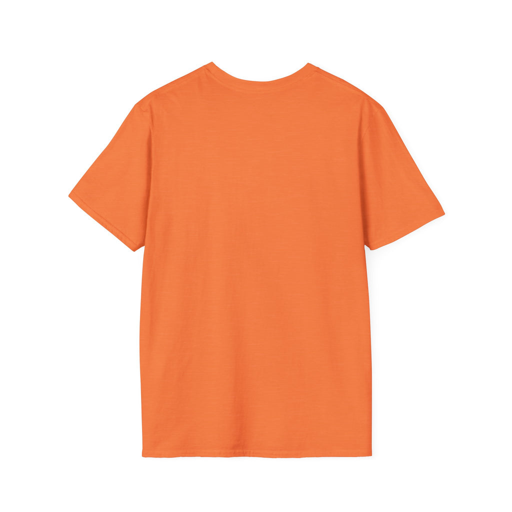 Idaho Falls High School Tigers T-Shirt | stripes graphic