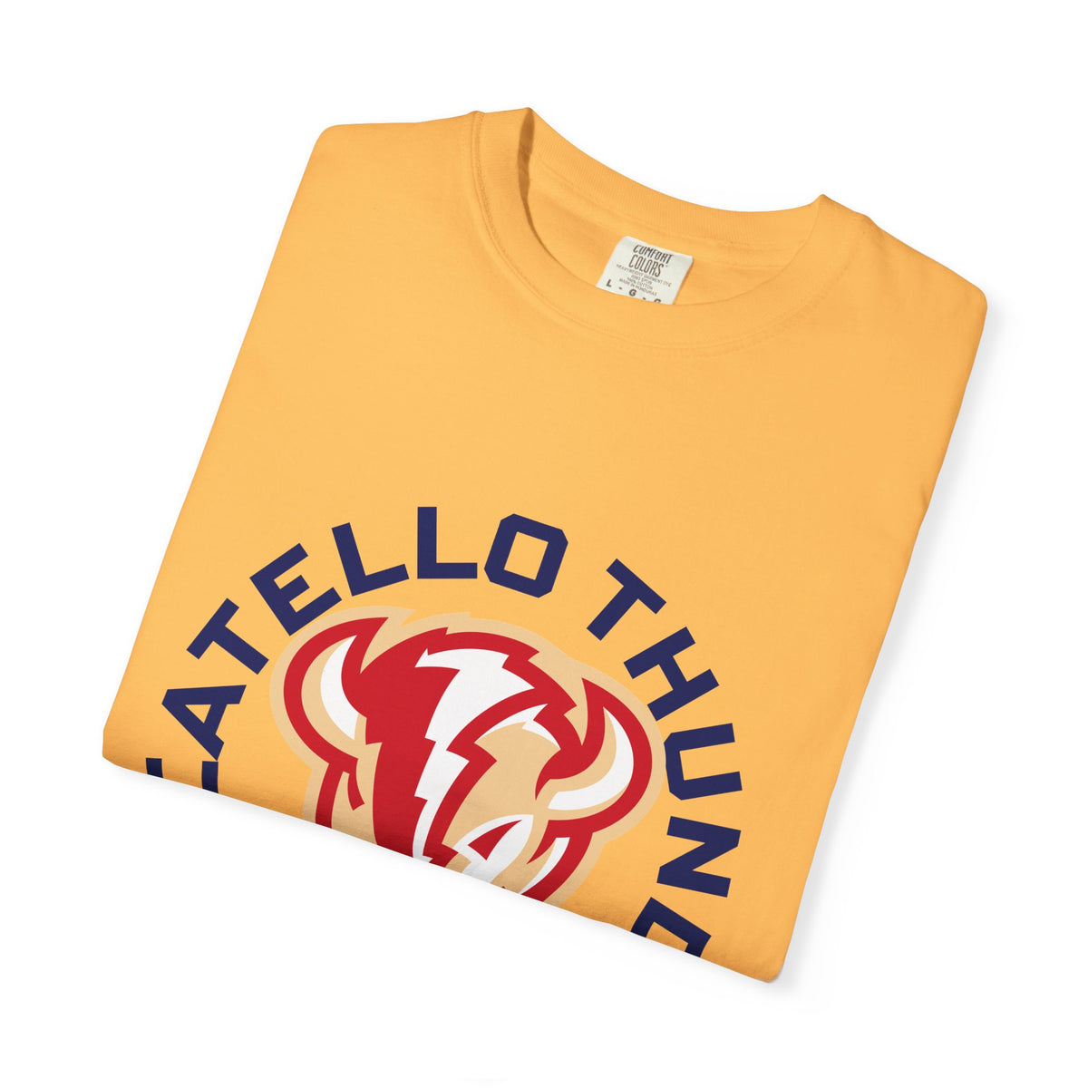 Pocatello High School Thunder T-Shirt | circle tee